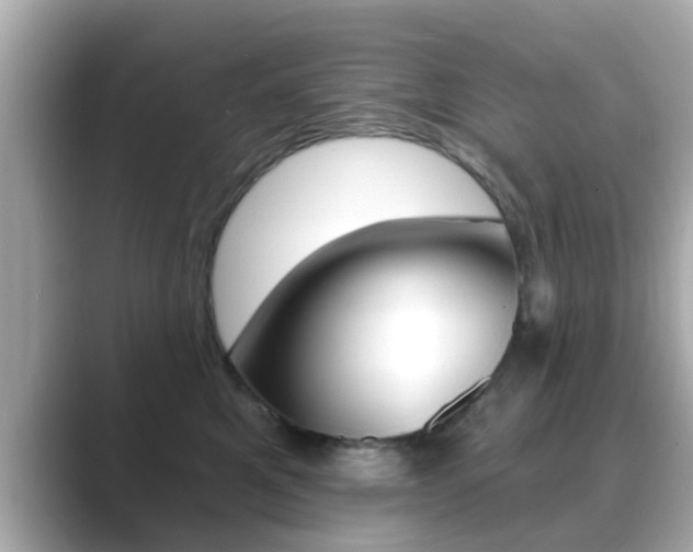 X0000089680521200706210816
