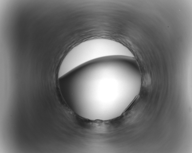 X0000089680524200706210816
