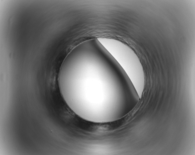 X0000089680525200706210816