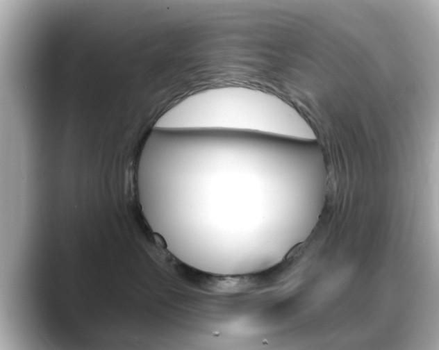 X0000089680527200706210816