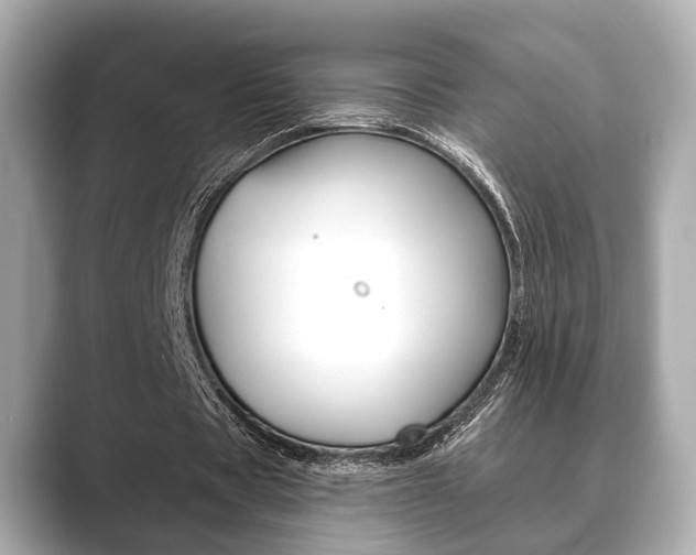 X0000089680529200706210816