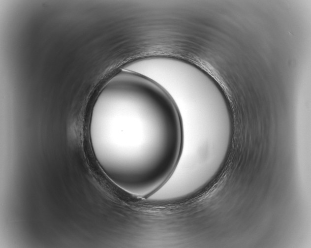 X0000089680530200706210816