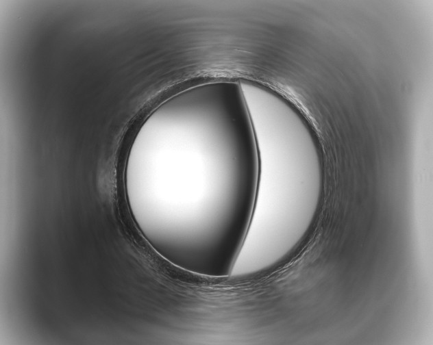 X0000089680531200706210816