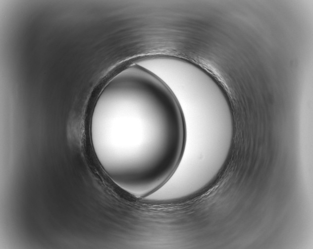 X0000089680532200706210816
