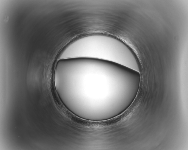 X0000089680533200706210816
