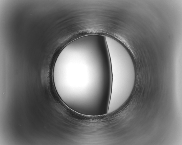 X0000089680535200706210816