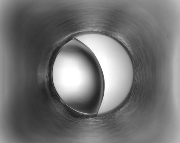 X0000089680536200706210816