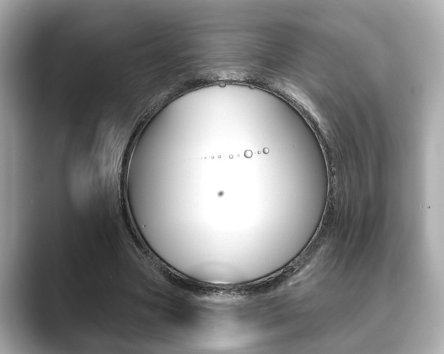 X0000089680537200706210816