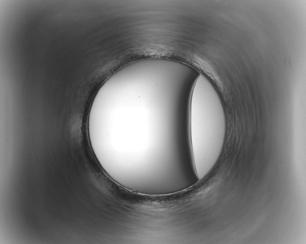 X0000089680538200706210816