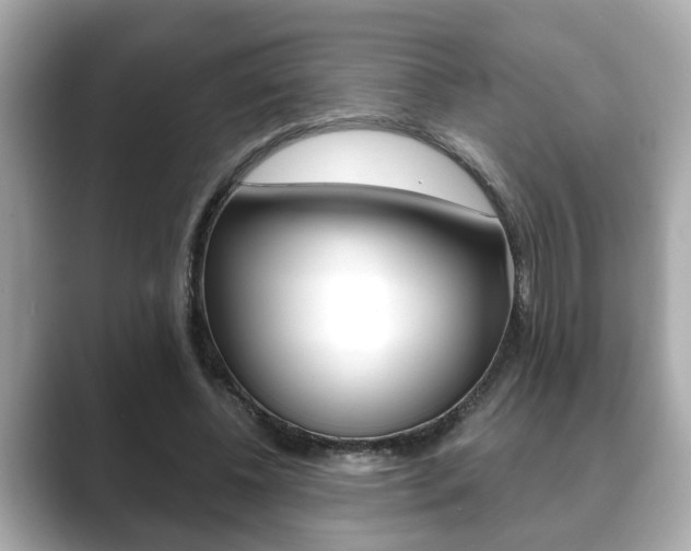 X0000089680540200706210816