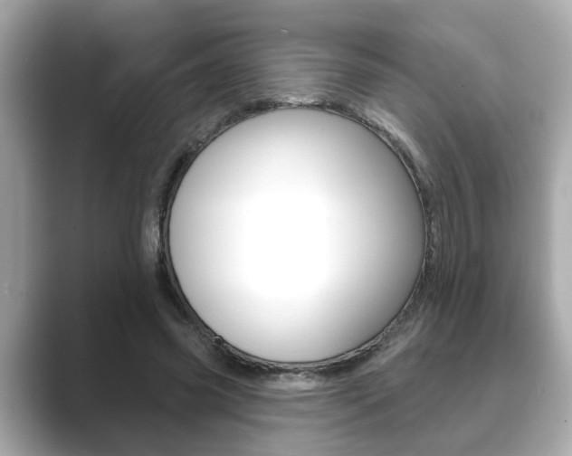 X0000089680541200706210816