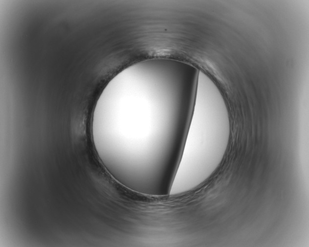 X0000089680543200706210816