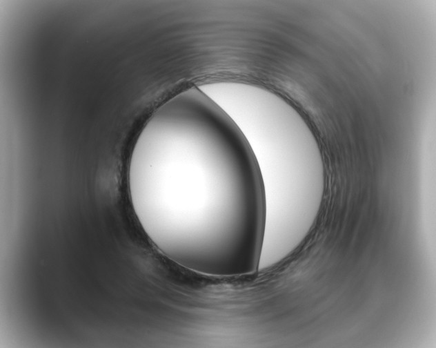 X0000089680544200706210816