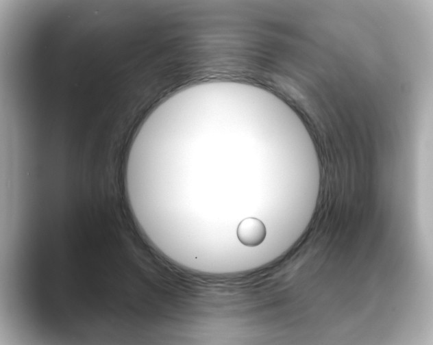 X0000089680546200706210816