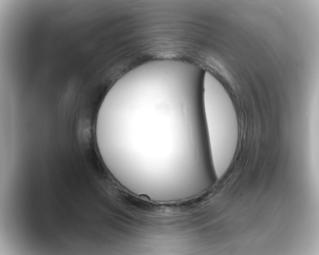 X0000089680549200706210816