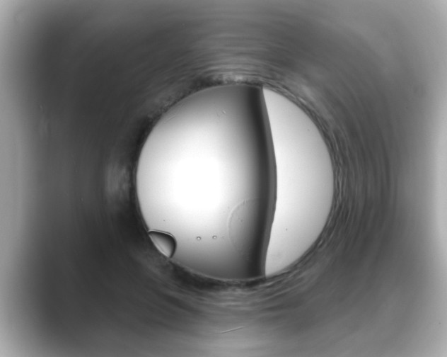X0000089680551200706210816