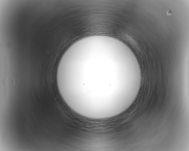 X0000089680552200706210816