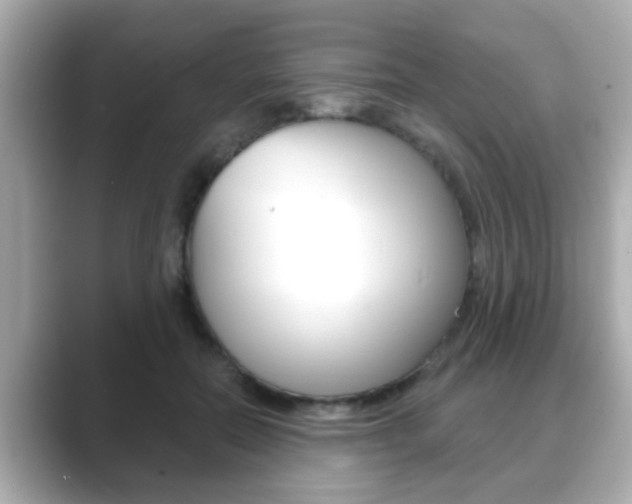 X0000089680554200706210816