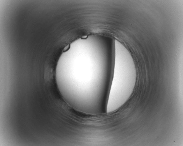 X0000089680555200706210816
