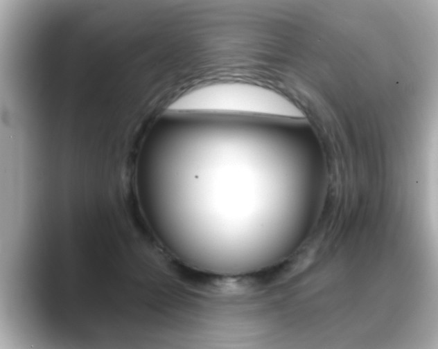 X0000089680558200706210816