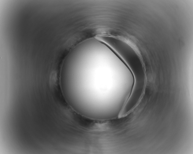 X0000089680560200706210816