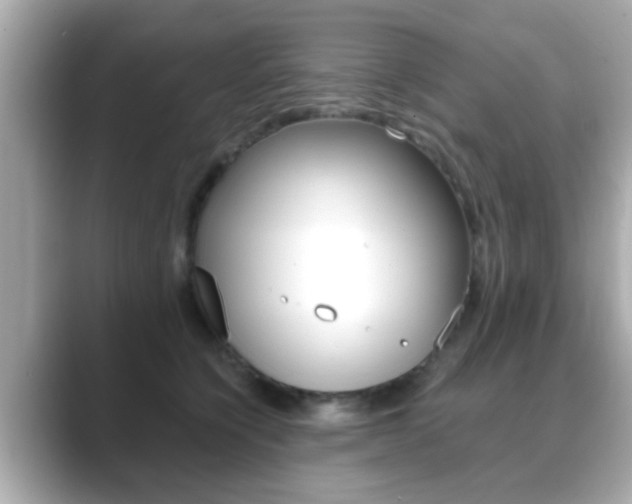 X0000089680564200706210816