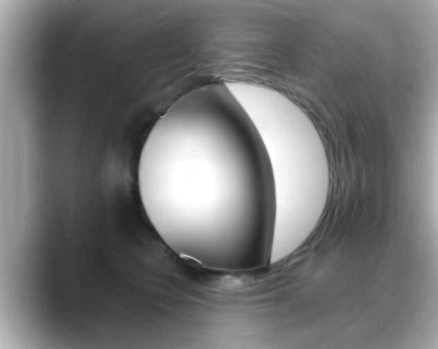 X0000089680566200706210816