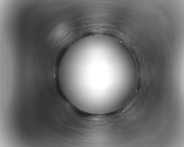 X0000089680567200706210816