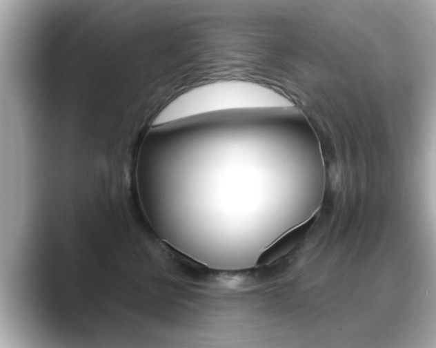 X0000089680570200706210816