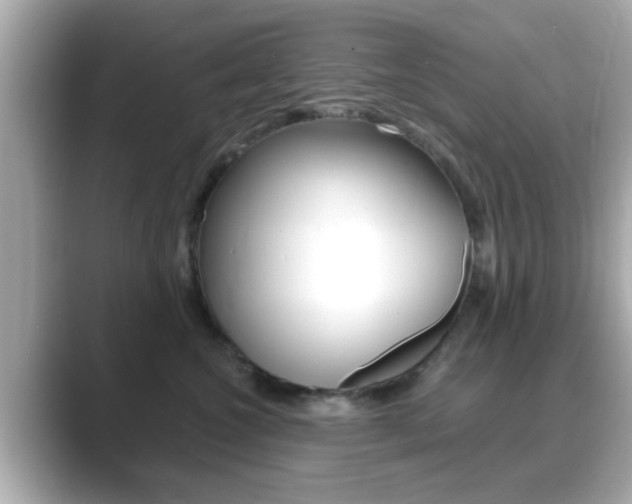 X0000089680572200706210816