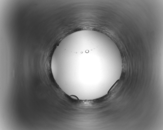 X0000089680573200706210816