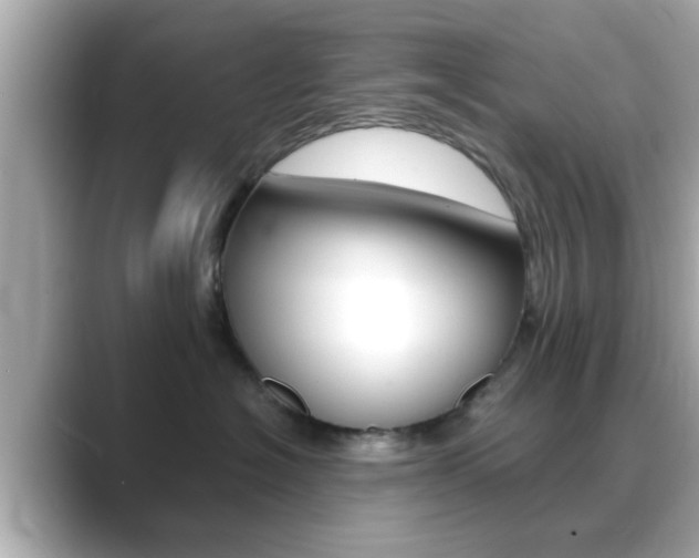 X0000089680574200706210816