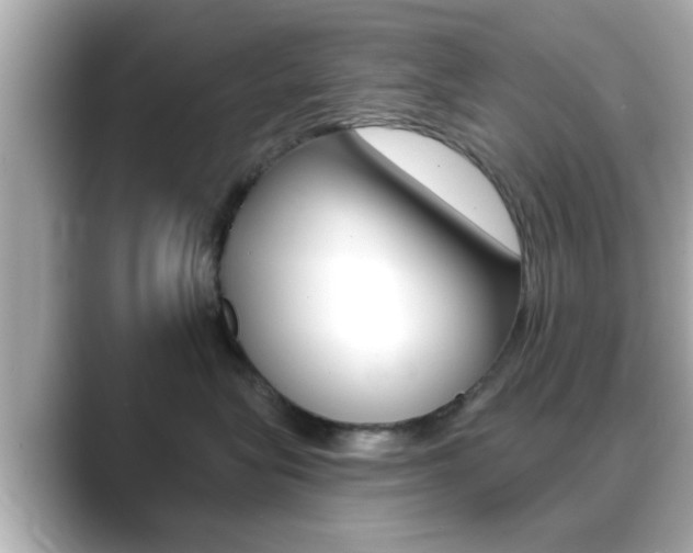 X0000089680575200706210816