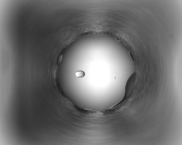 X0000089680576200706210816
