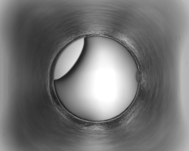 X0000089680578200706210816