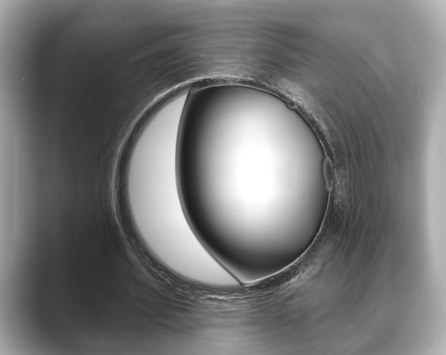 X0000089680580200706210816