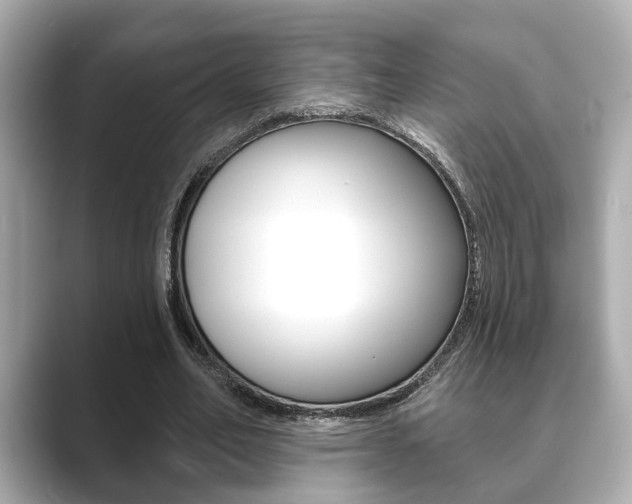 X0000089680582200706210816