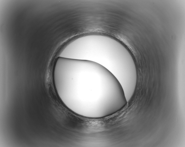 X0000089680583200706210816