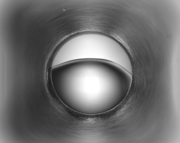 X0000089680584200706210816