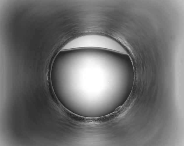 X0000089680585200706210816