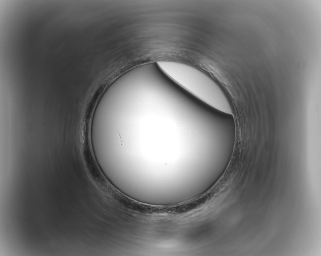 X0000089680586200706210816