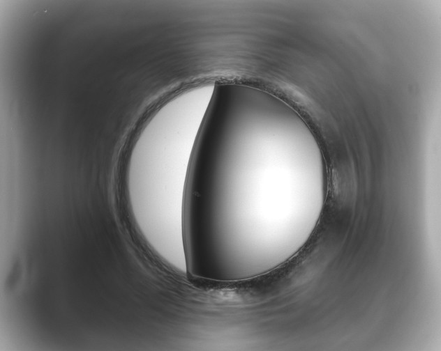 X0000089680588200706210816