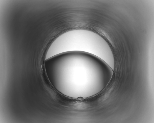 X0000089680589200706210816
