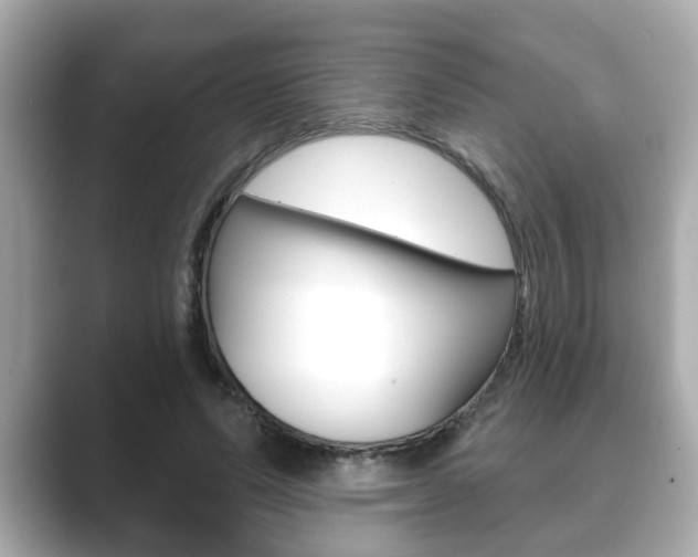 X0000089680591200706210816