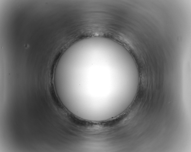 X0000089680594200706210815