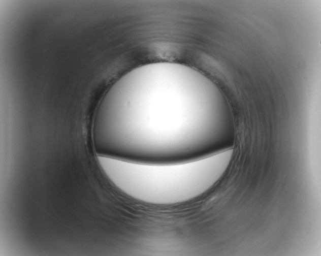 X0000089680595200706210815