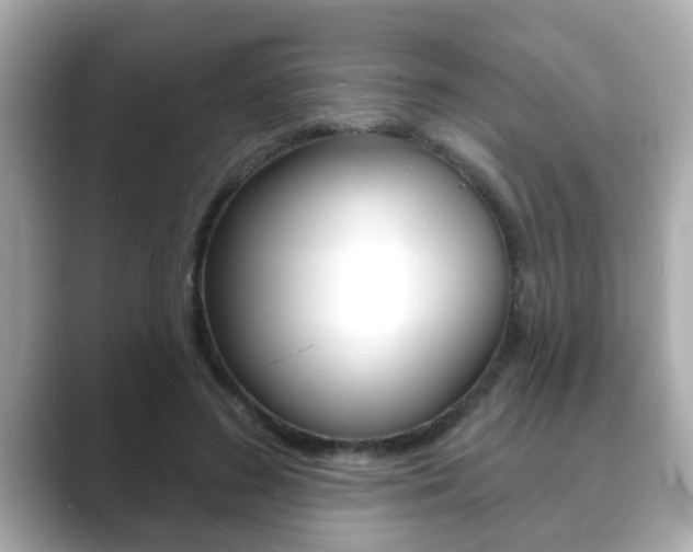 X0000089680596200706210815