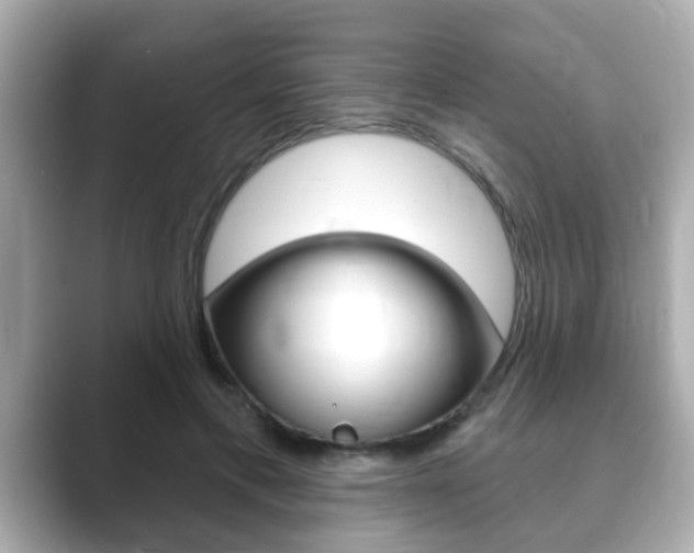 X0000089680597200706210815