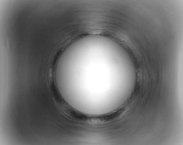 X0000089680598200706210815