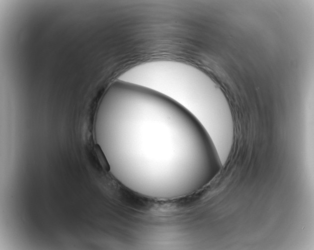 X0000089680599200706210815